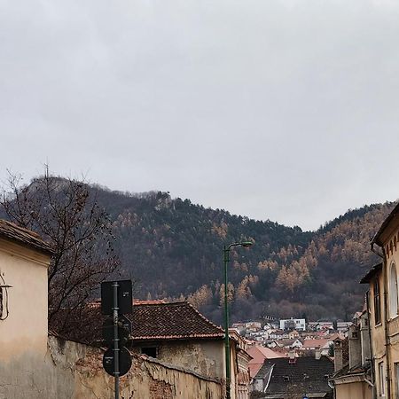 Golden Greens Studio - Mountain Scenery Braszów Zewnętrze zdjęcie